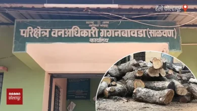 Illegal tree cutting in Gaganbawda