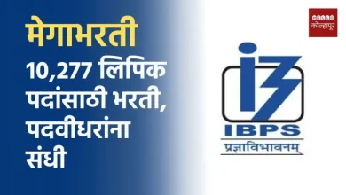 IBPS Clerk Bharti 2025