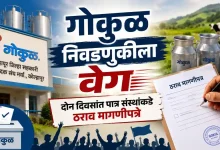 Gokul Election