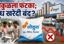 Gokul Milk Halal Certification