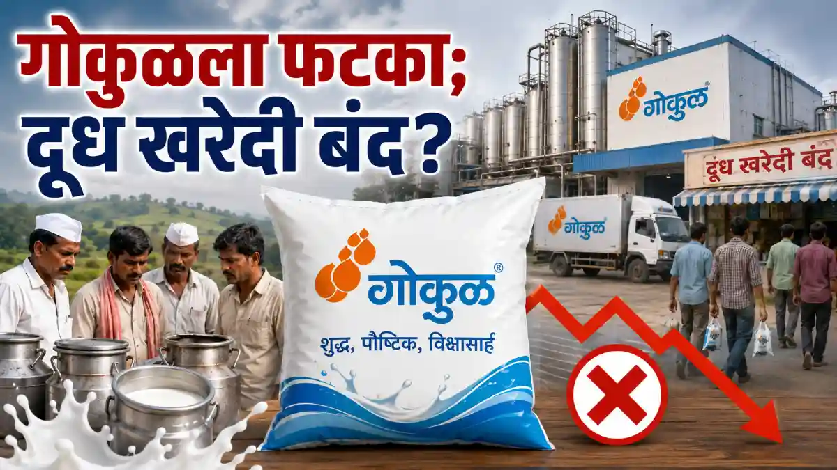 Gokul Milk Halal Certification