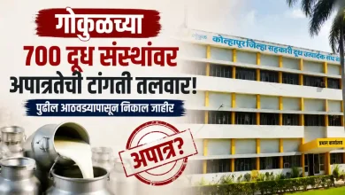 Kolhapur Eligibility Verification