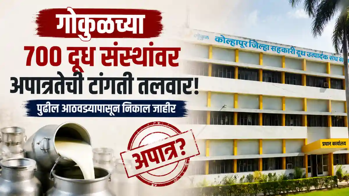 Kolhapur Eligibility Verification