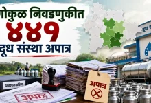 Kolhapur News Gokul Election