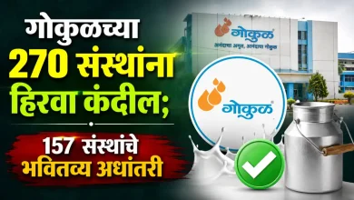 Kolhapur News Krishna Thakare